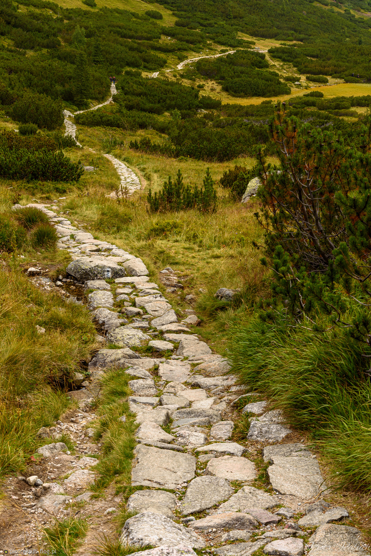 Ścieżka.. to tylko ścieżka :)