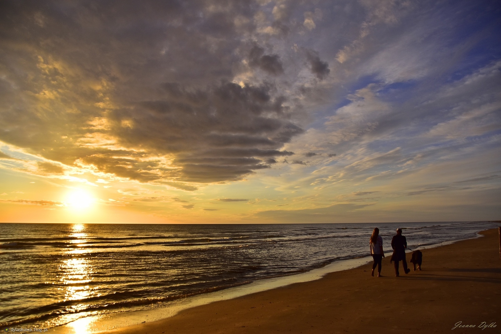 Wieczorny spacer z psem