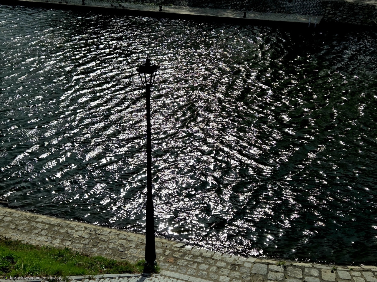 Nad Kanałem Miejskim we Wrocławiu:) Pozdrowienia i podziękowania za odwiedzinki:)