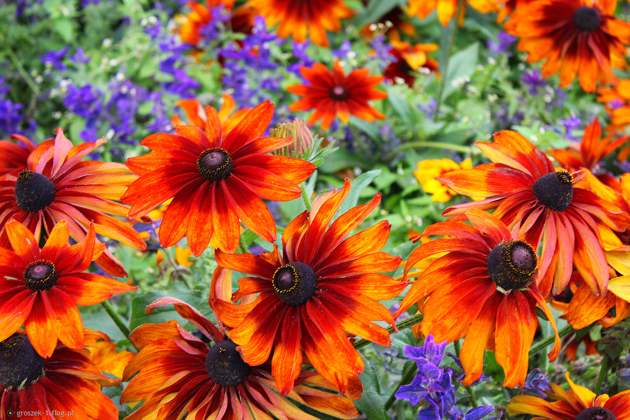 Nie ma w życiu niczego cenniejszego niż czas. To jak podarowanie cząstki swojego życia, której już nigdy nie odzyskasz. Czyjaś obecność jest bezcenna.