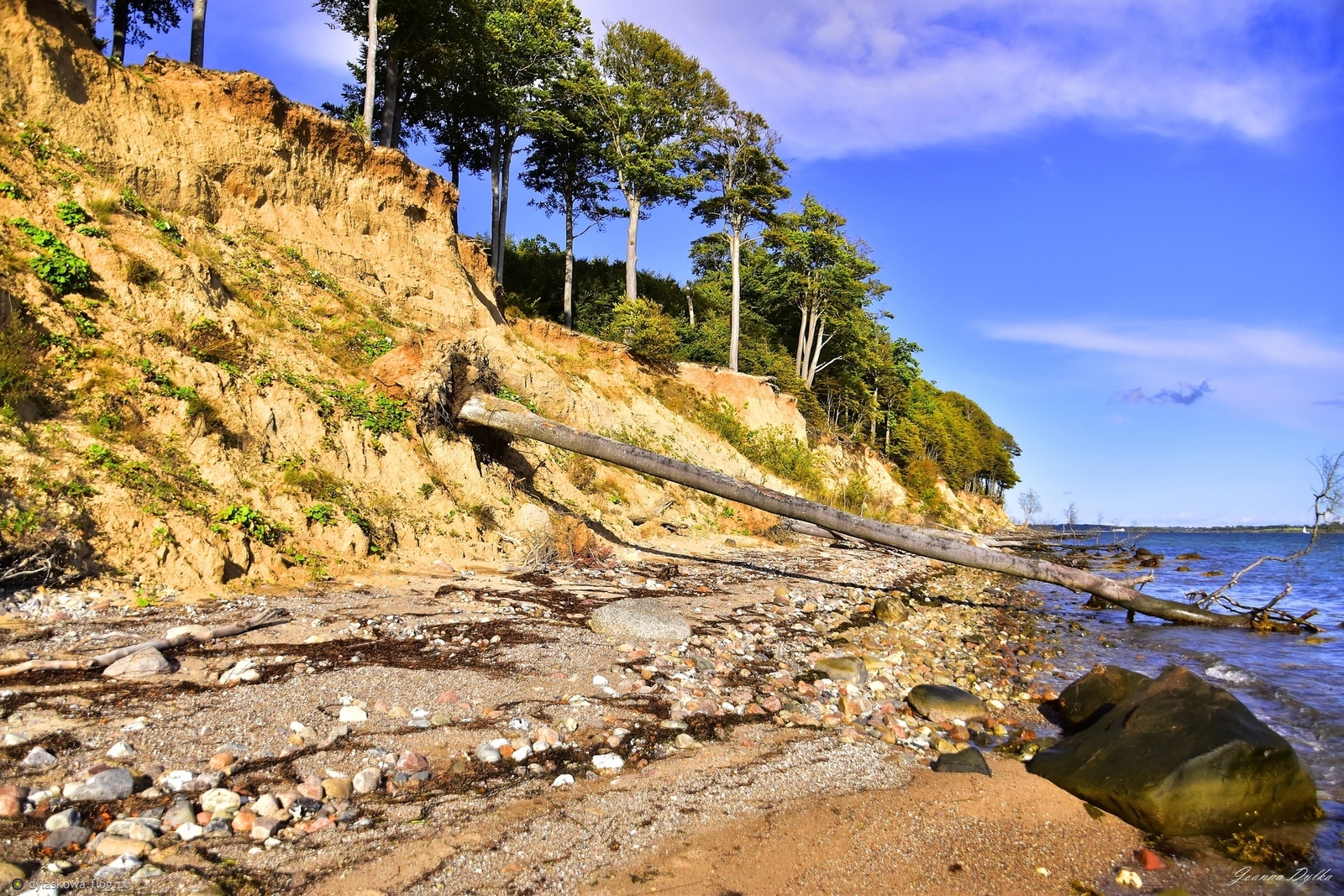 Niewielki, ale ładny