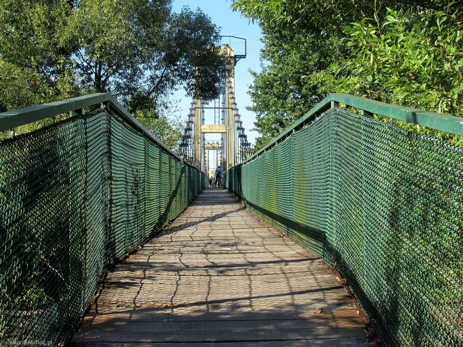 Zielony mosteczek ugina się...