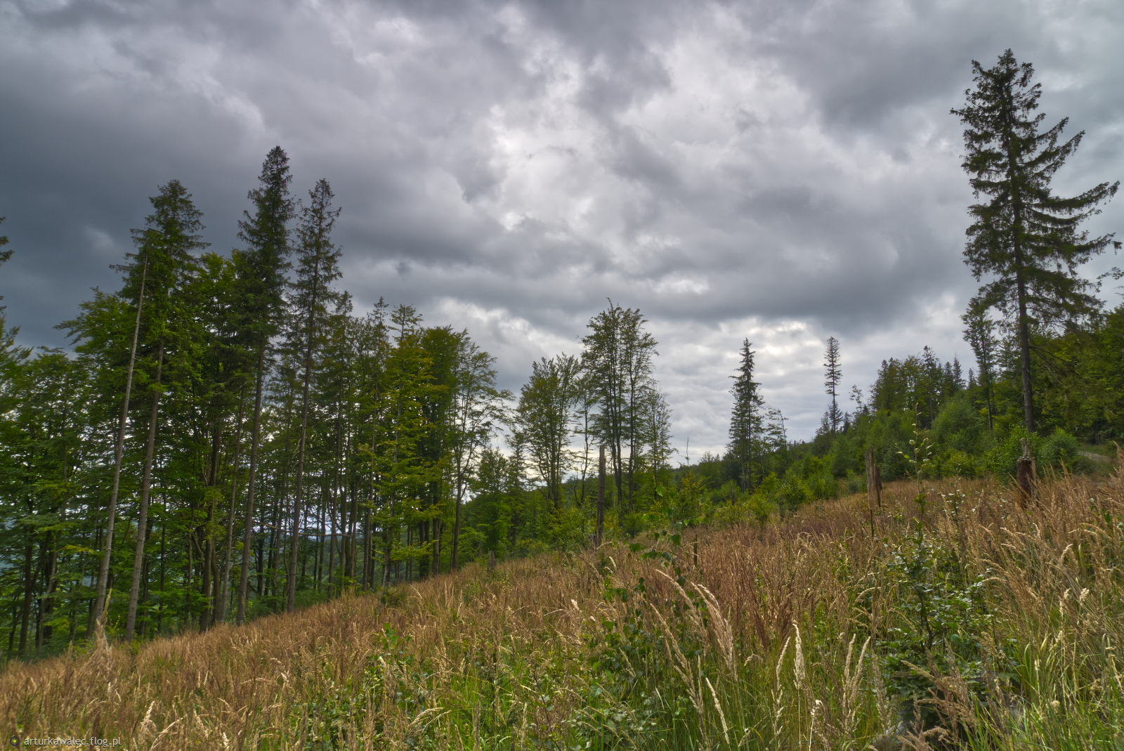 Za plecami też dzieje się ciekawie 😉