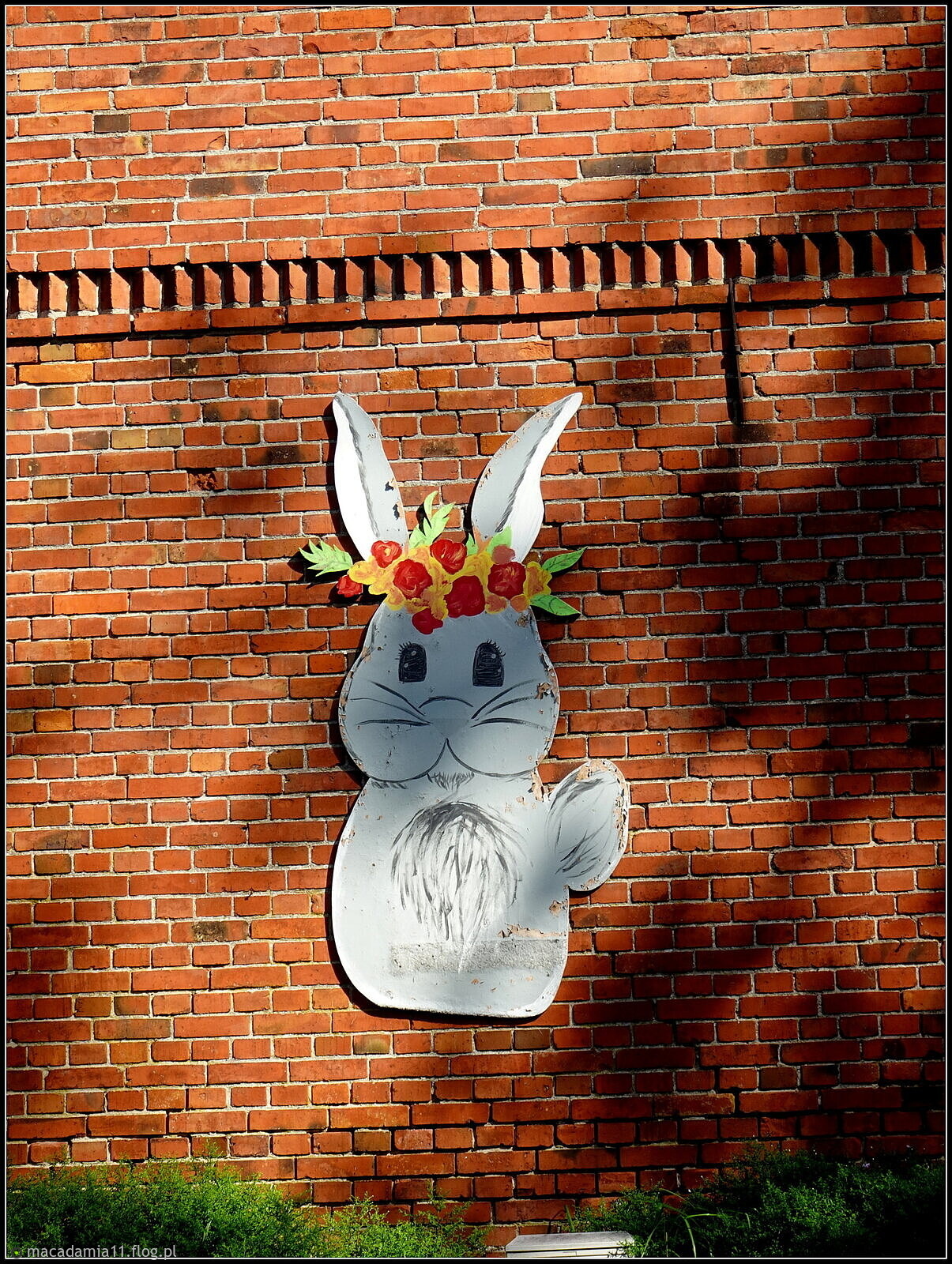 Uśmiech na pogodny dzień...