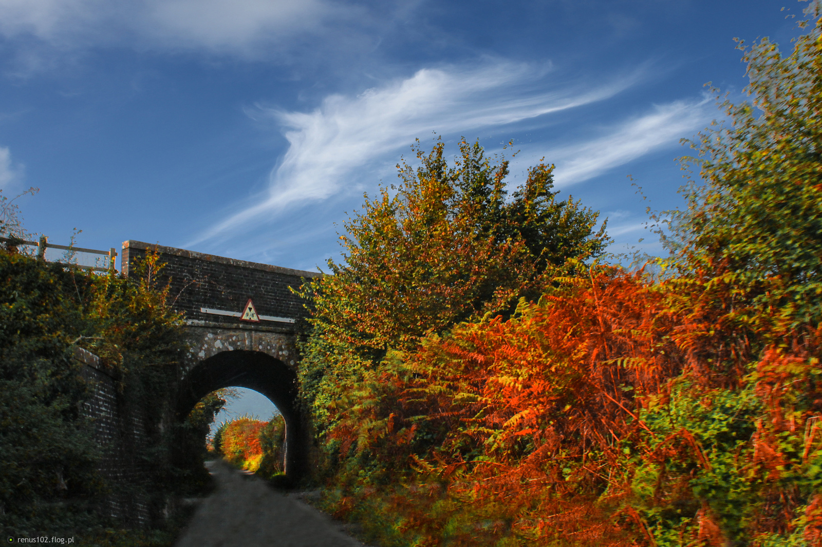 "Zapominamy, iż to słowa budują mosty, a milczenie jak ogień je spala"