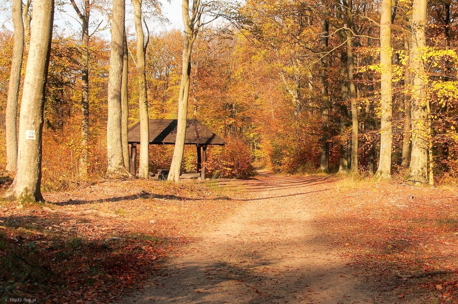 Miałam blisko..., to poszłam :)