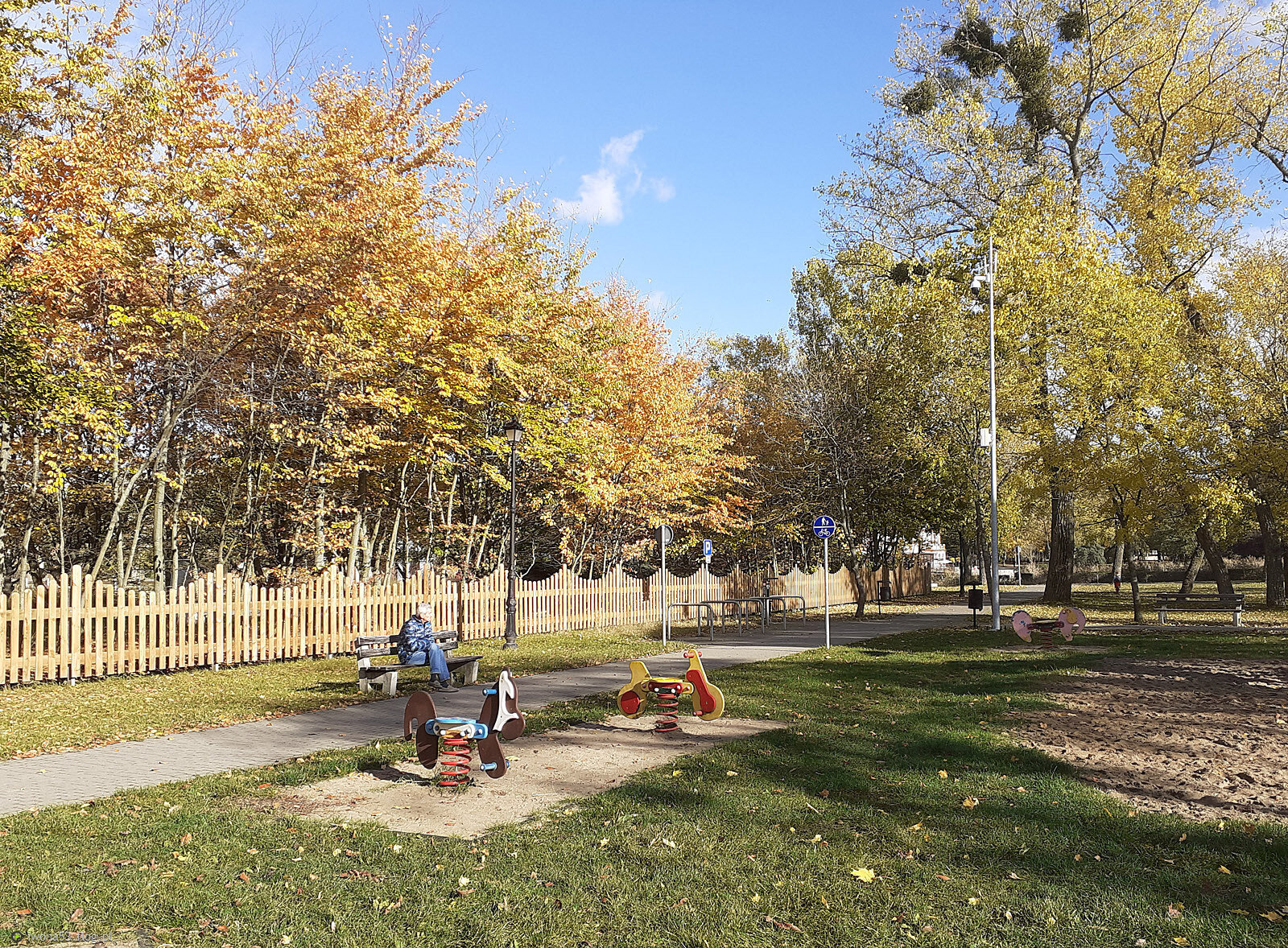 SPACEREK Z MOIM WNUCZKIEM W JESIENNEJ SCENERII.