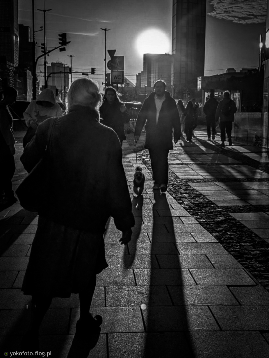 #PstrykCodzienny - 2025_10_16..pstryk...