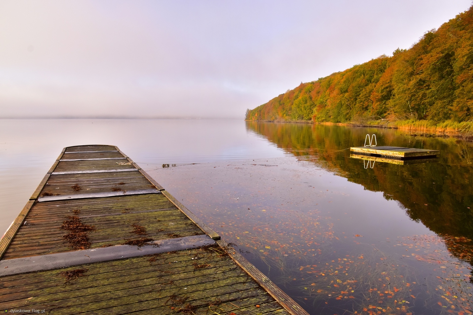 Kollund Mole jesienią