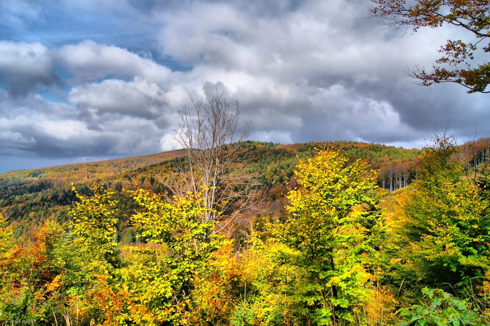 Beskidzkie świątynie…