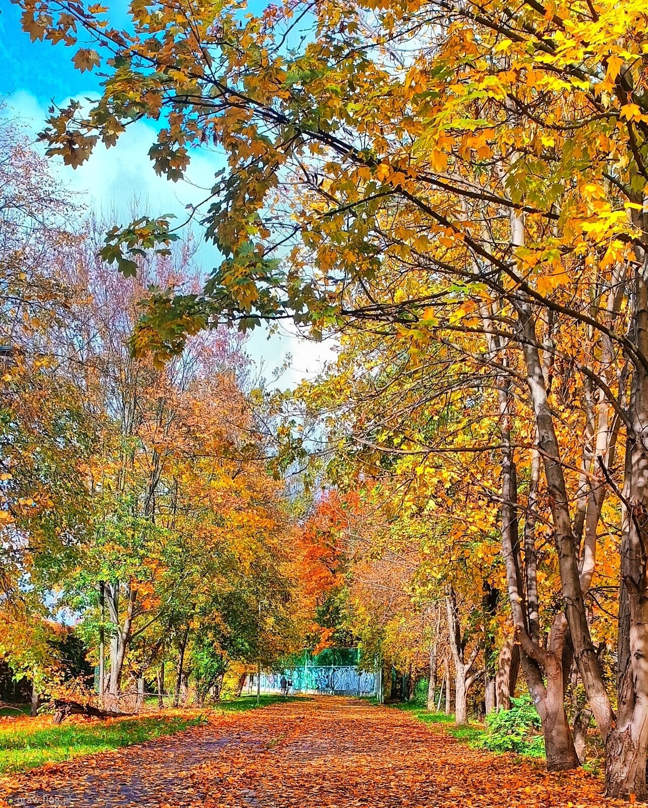 Szelesty o poranku....