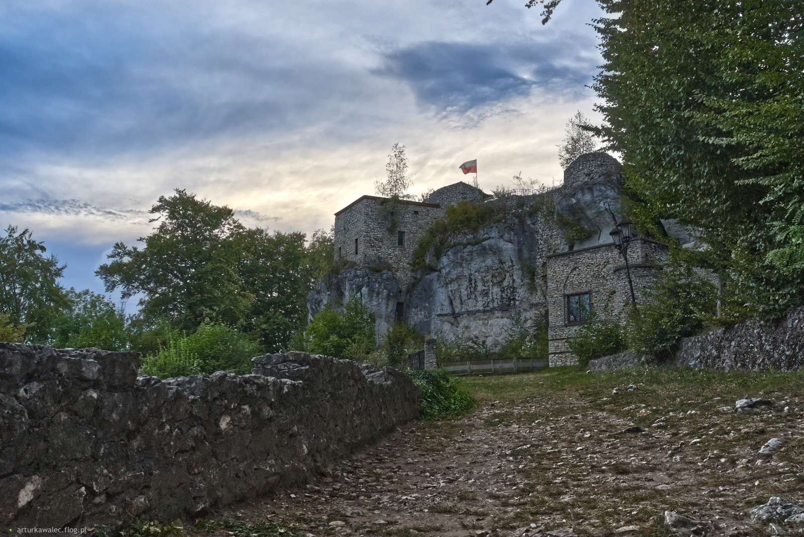Bąkowiec po raz drugi