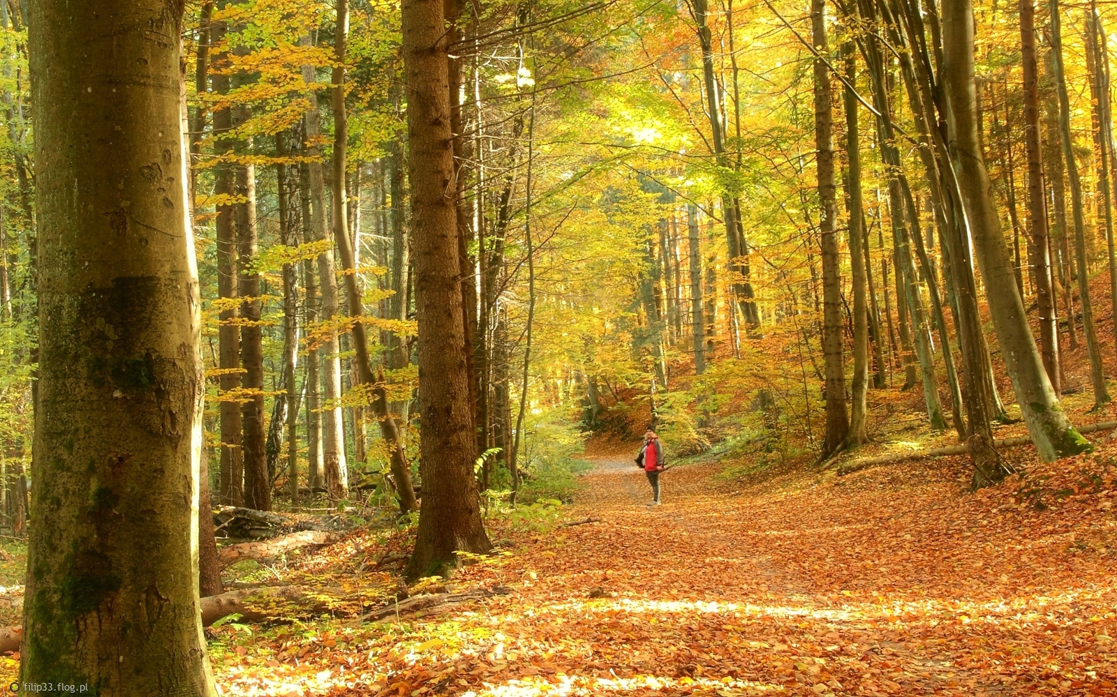 To był piękny dzień :)