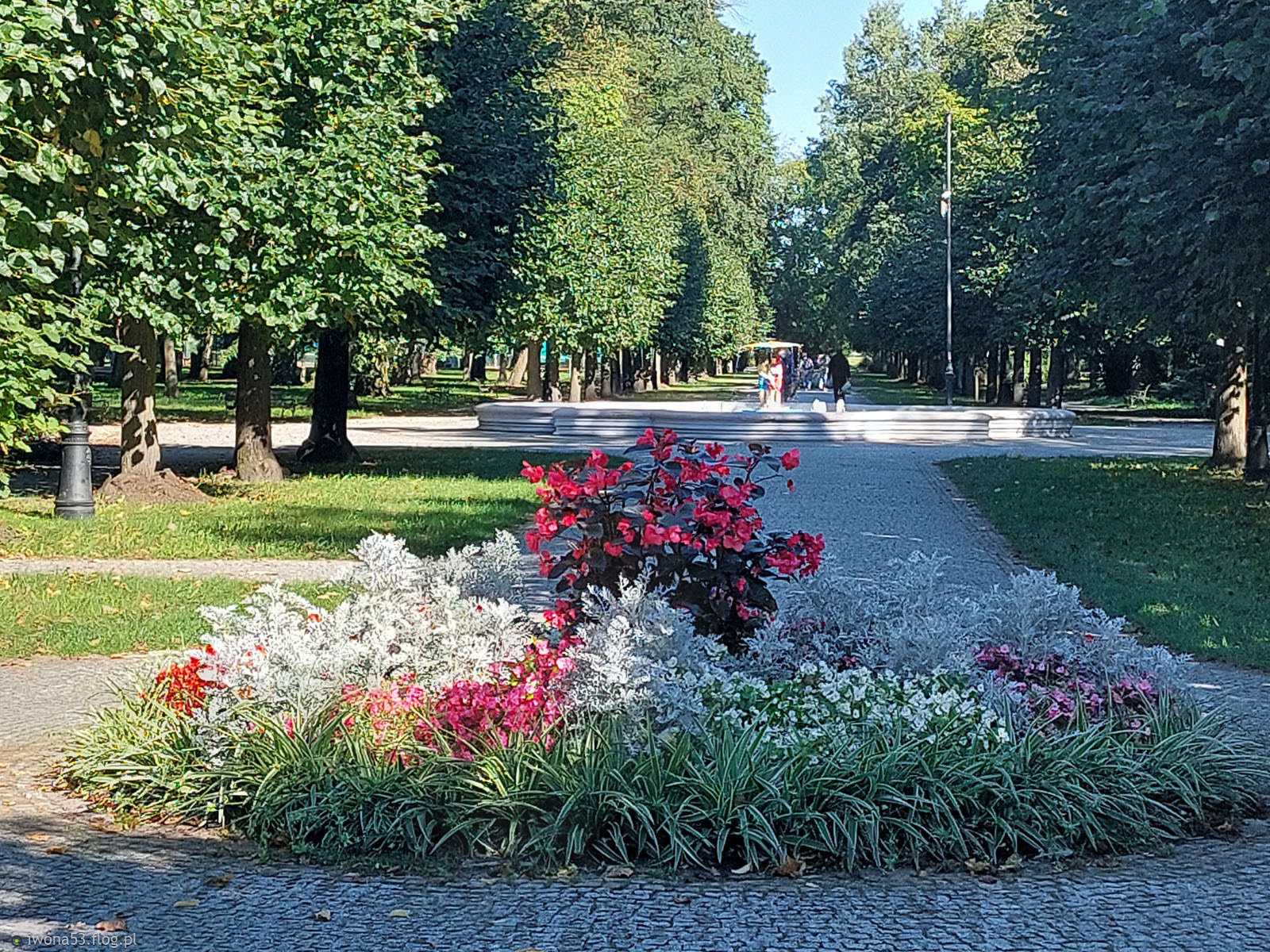 NIE CZEKAJ NA APROBATĘ INNYCH. TWOJA WARTOŚĆ NIE ZALEŻY OD CUDZYCH OPINII