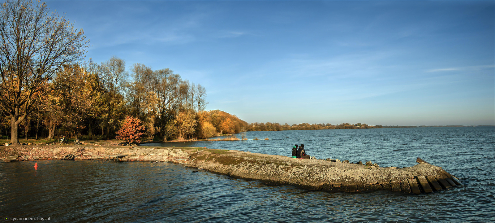 Dialogi niemalże na cztery nogi