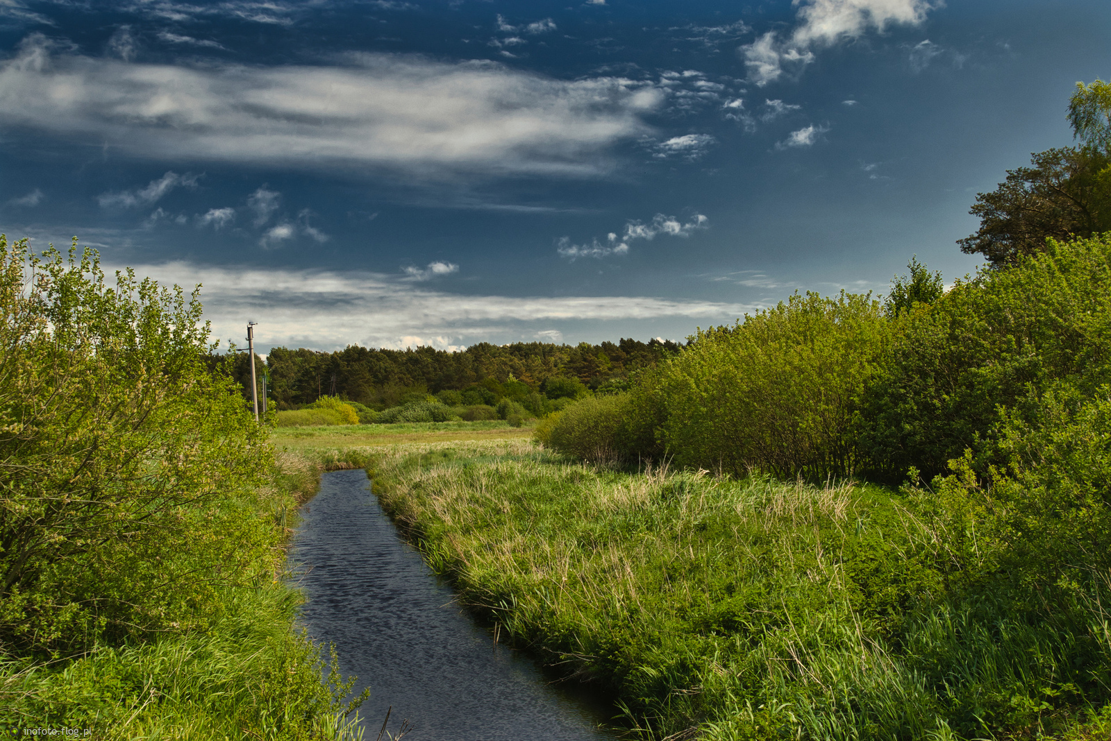 Widoczek- Jastrzębia Góra
