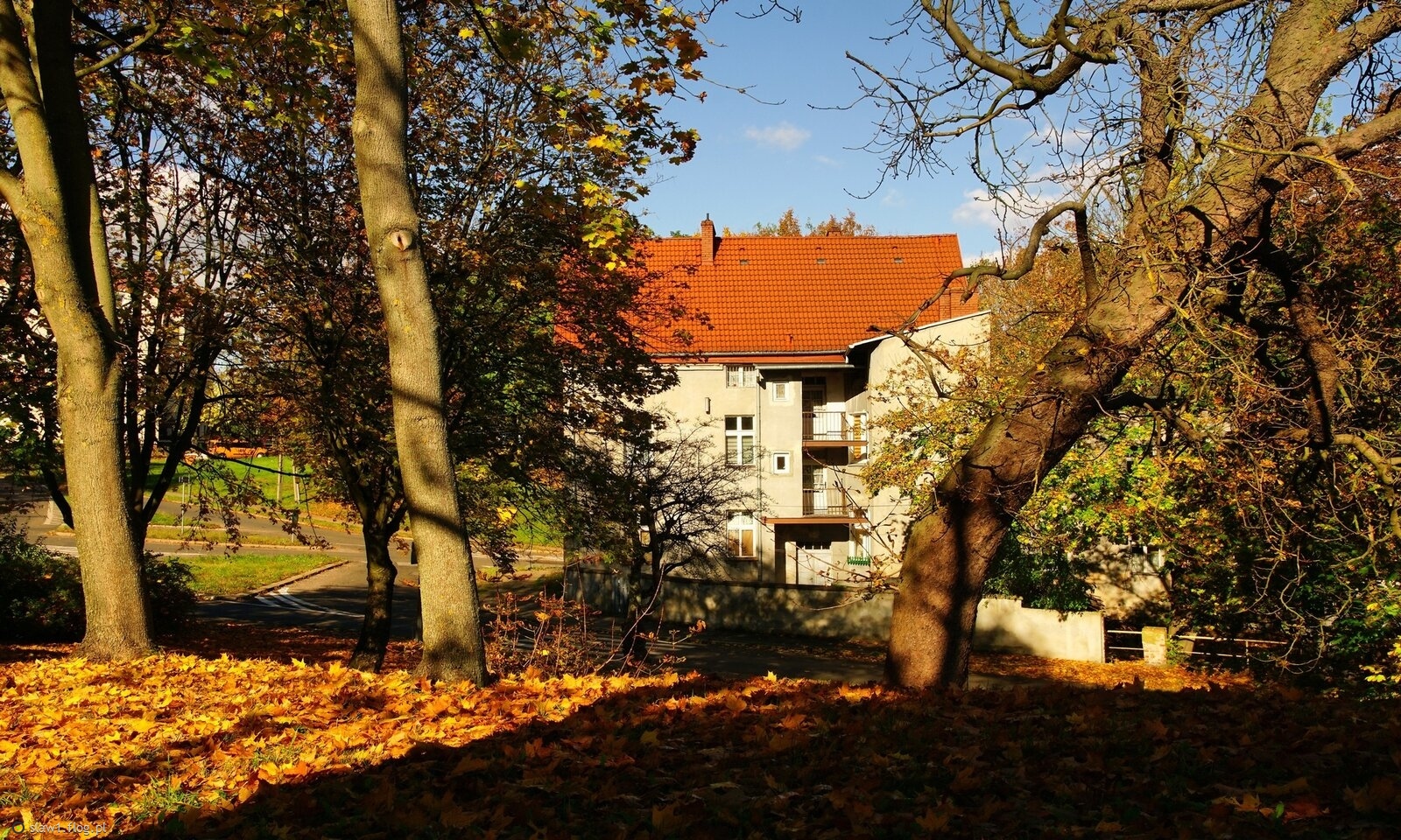 Architektura inaczej