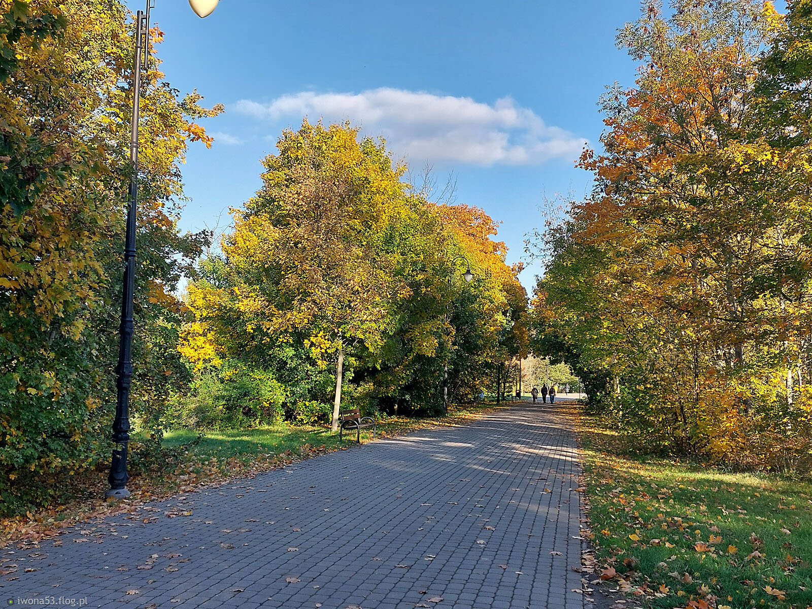 WCZORAJSZY SPACER PO PARKU SOLANKOWYM.