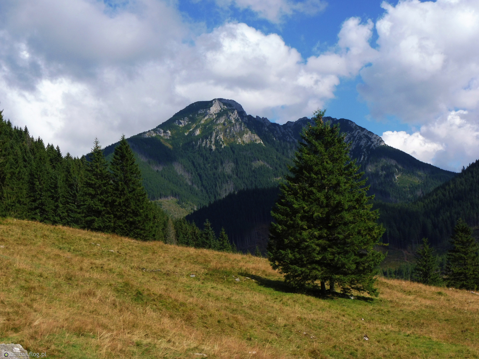 Widoczek z Kominiarskim Wierchem