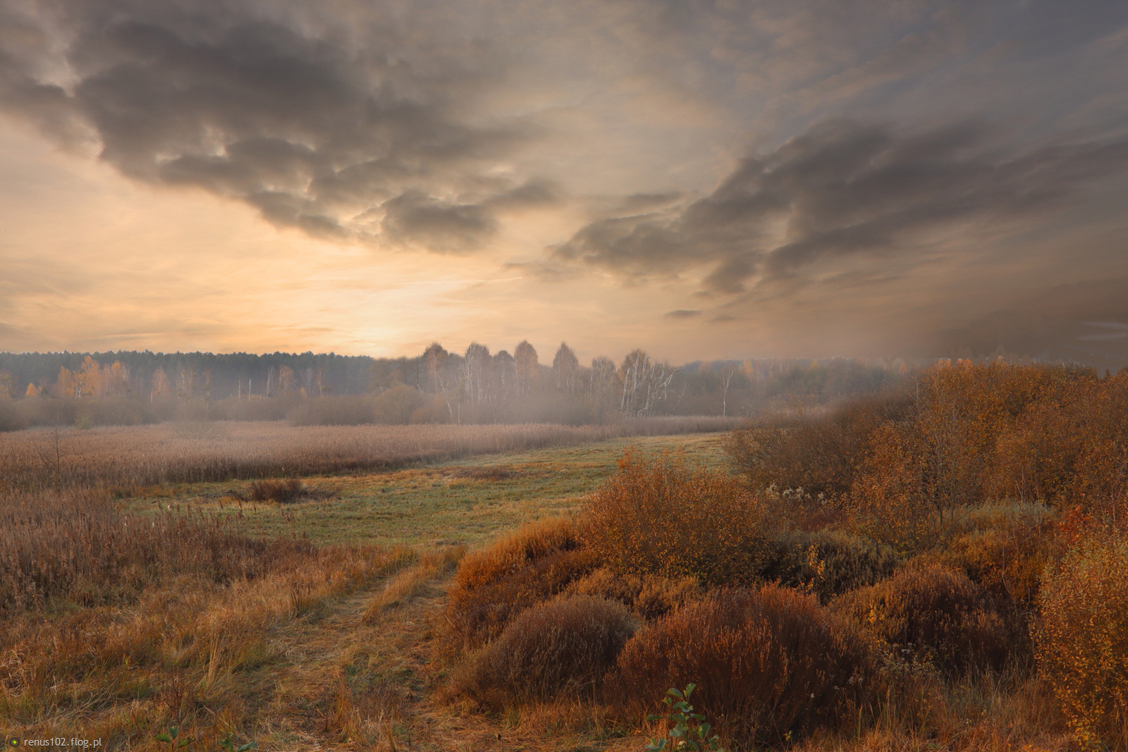 Moje ulubione miejsce..................Granica