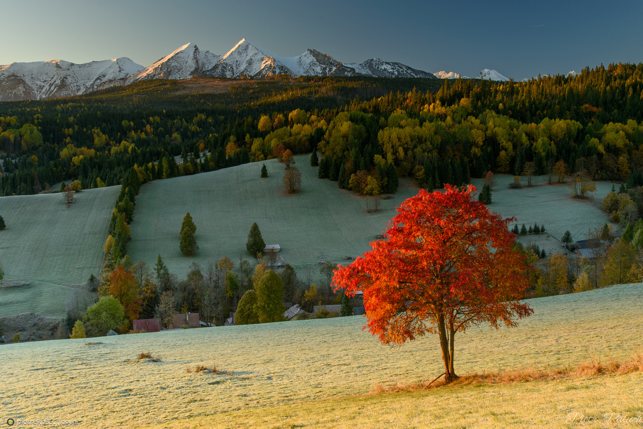 Jesień jest piękna..