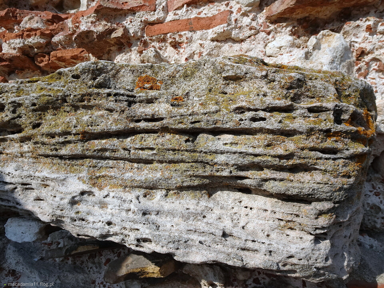 Neseber - zielona skała.