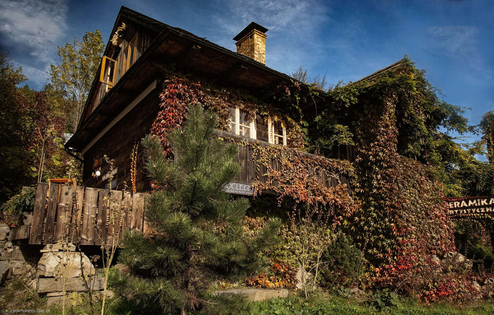 Winobluszczem winna ...