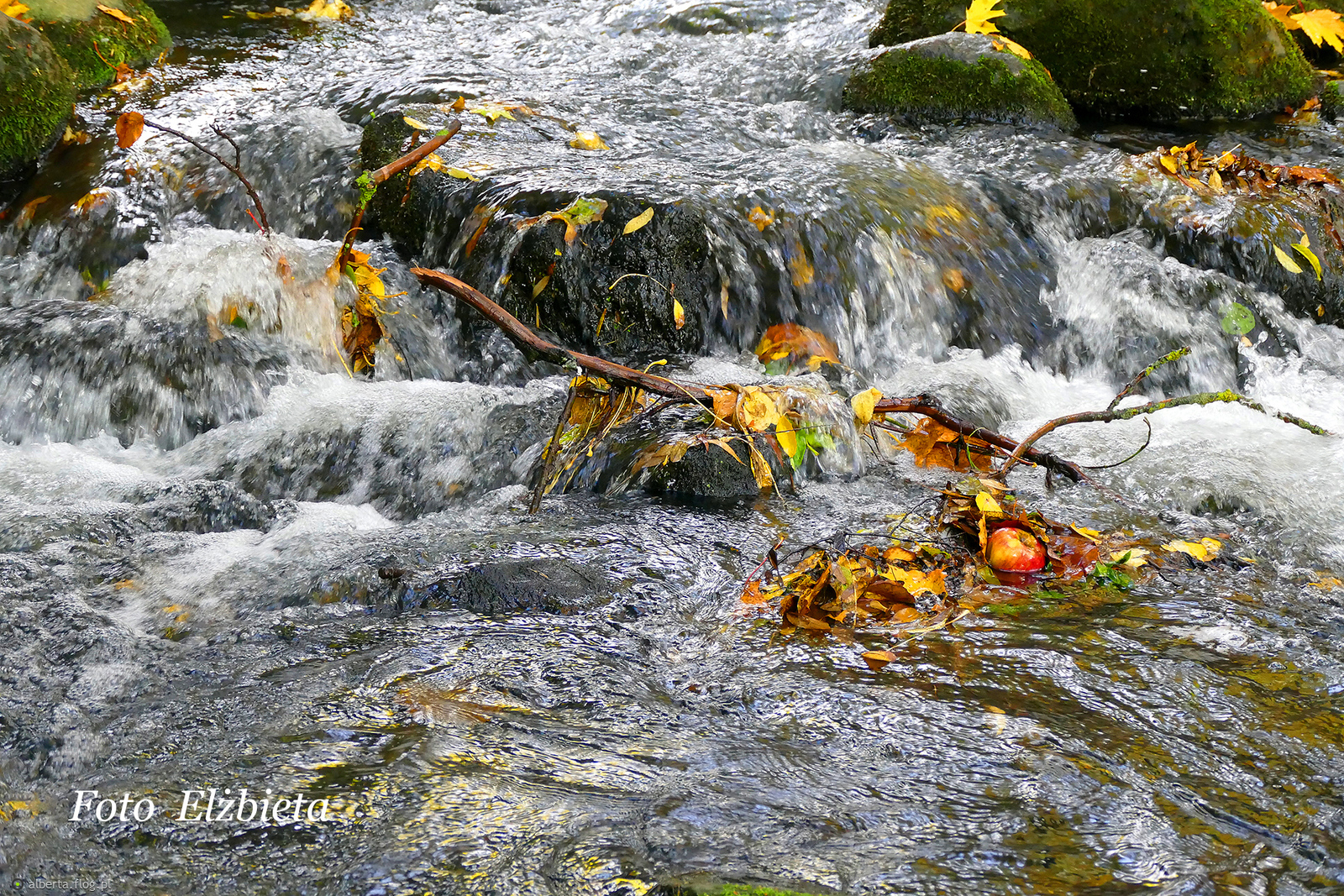 Z kamienia na kamień toczy swe wody Oliwski Potok! Serdecznie pozdrawiam Grazynko!
