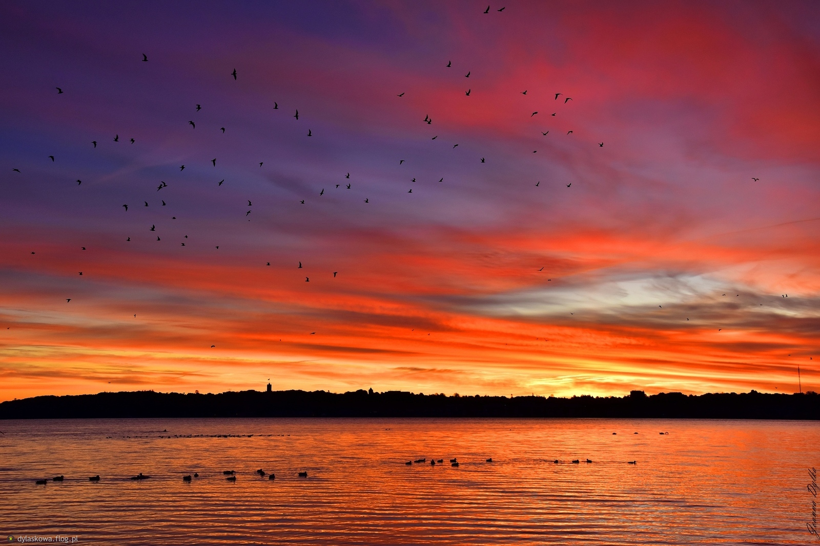 Z niedzielnego wschodu słońca