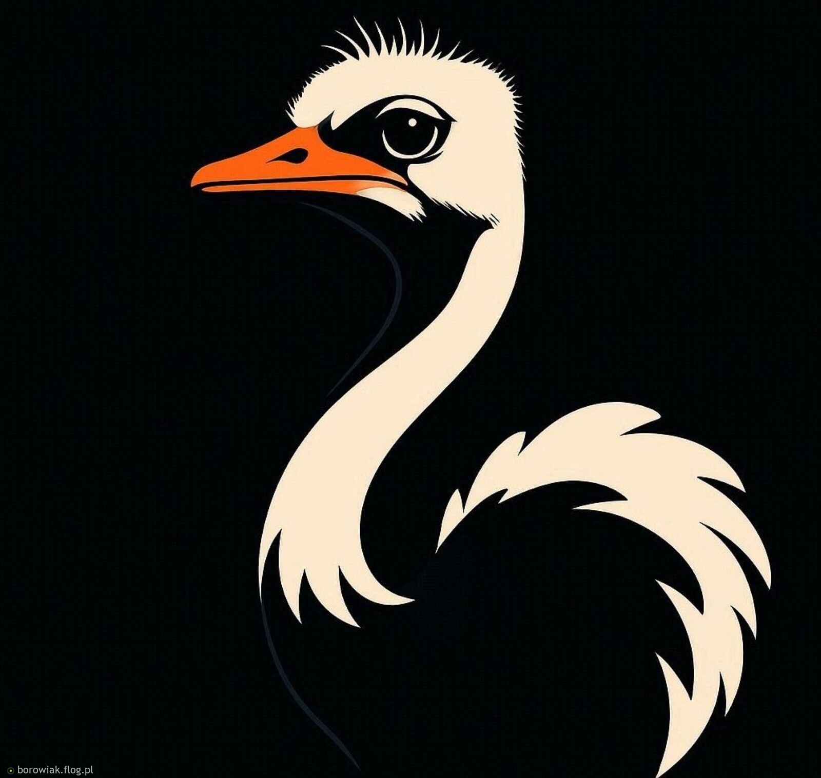 Plakat... projekt...