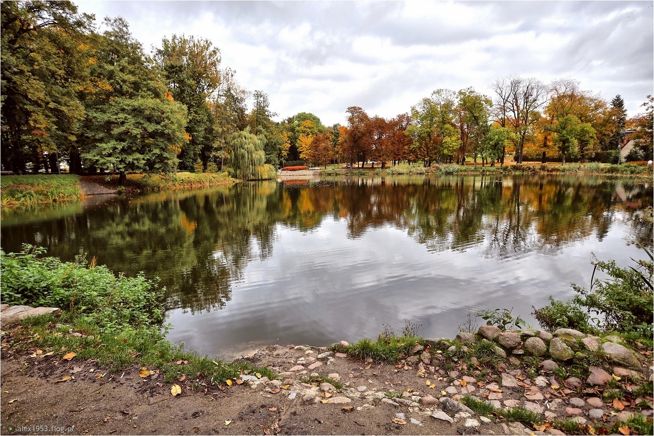 Spacerkiem po Jarocińskim parku