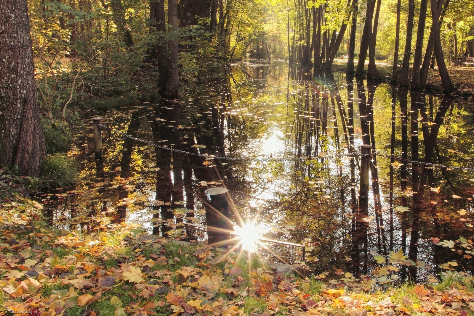 To nie tak miało wyjść..., ale wyszło, jak wyszło :)))
