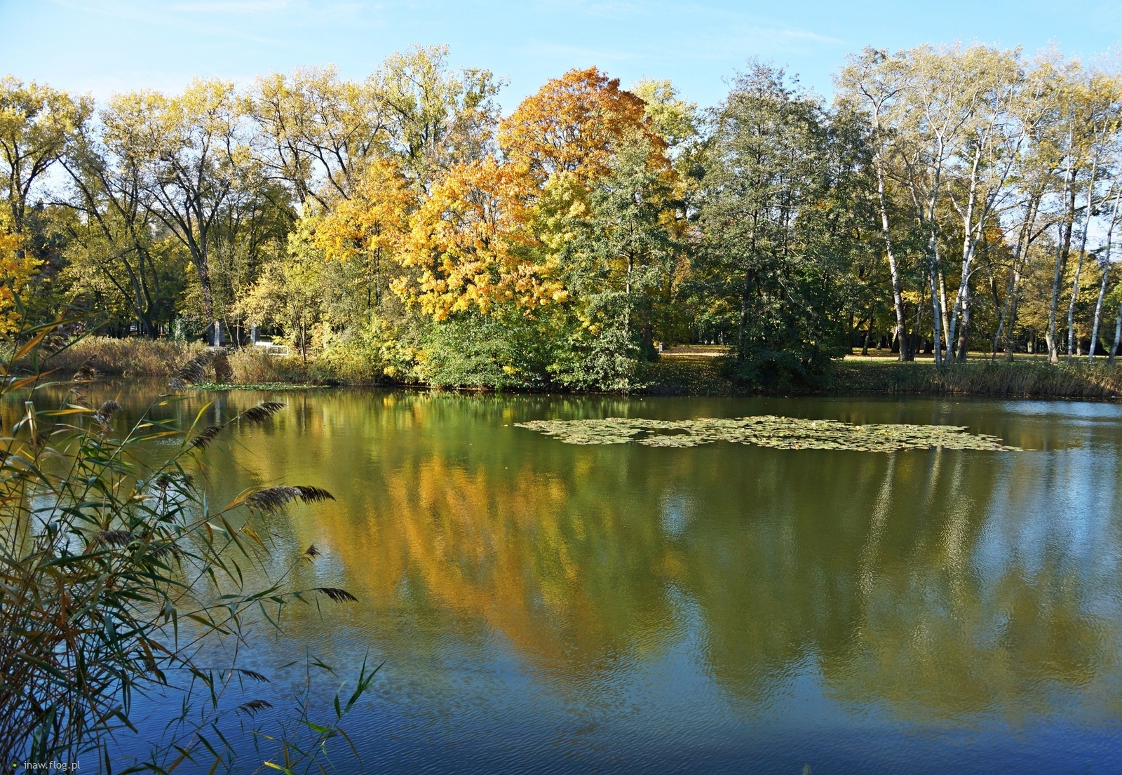 Chwila słoneczna nad stawem🌞