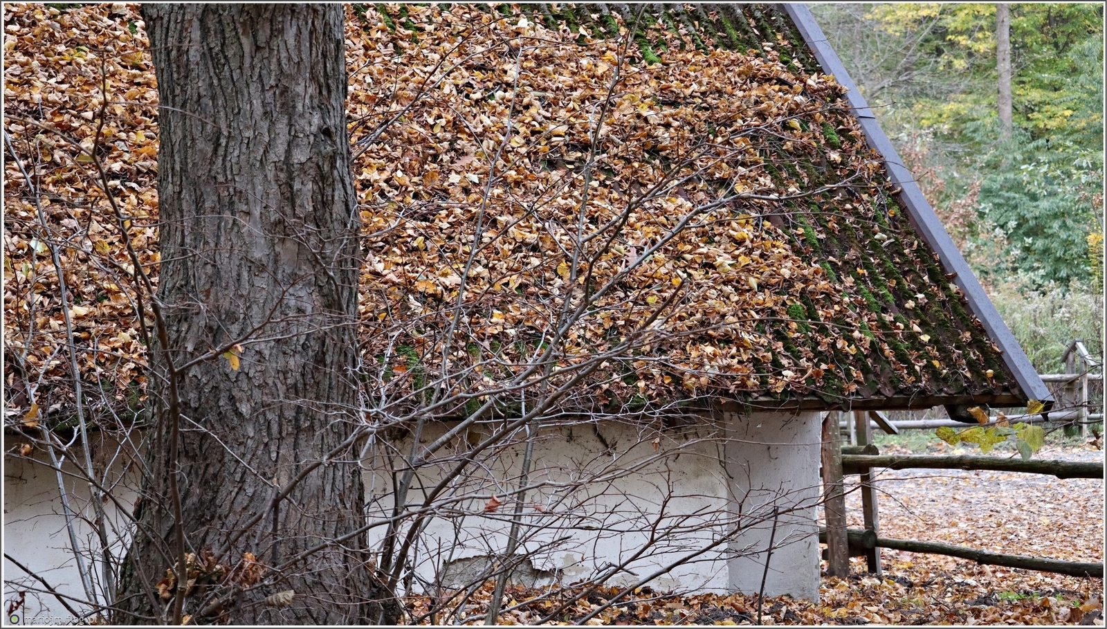 Jesień potrafi naśmiecić ale za to uroczo