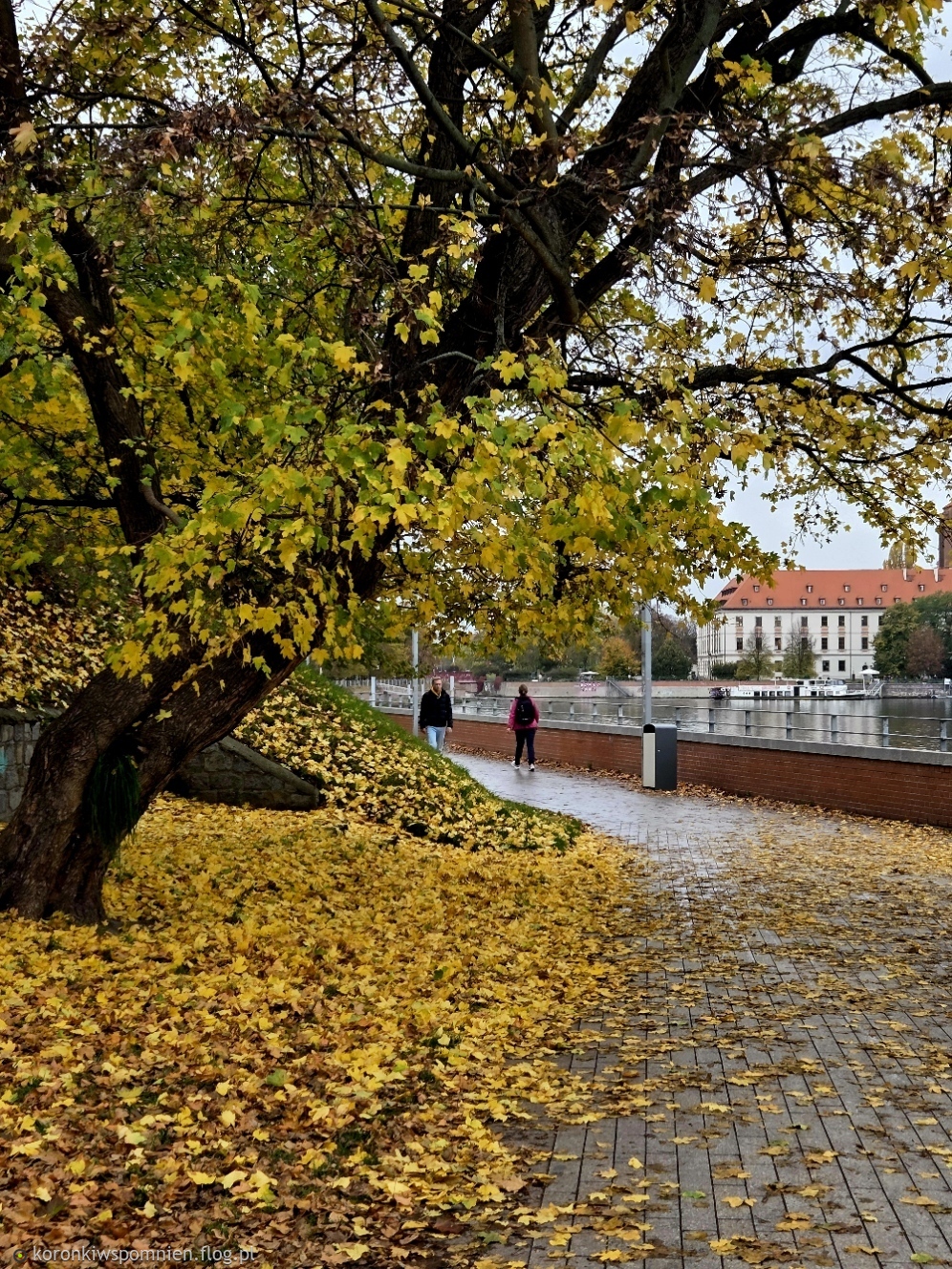 Jesienne spacery:)Pozdrawiam weekendowo:):)