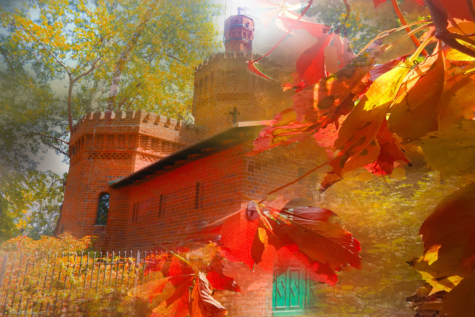 Jesienne obrazy.......................Wilanów