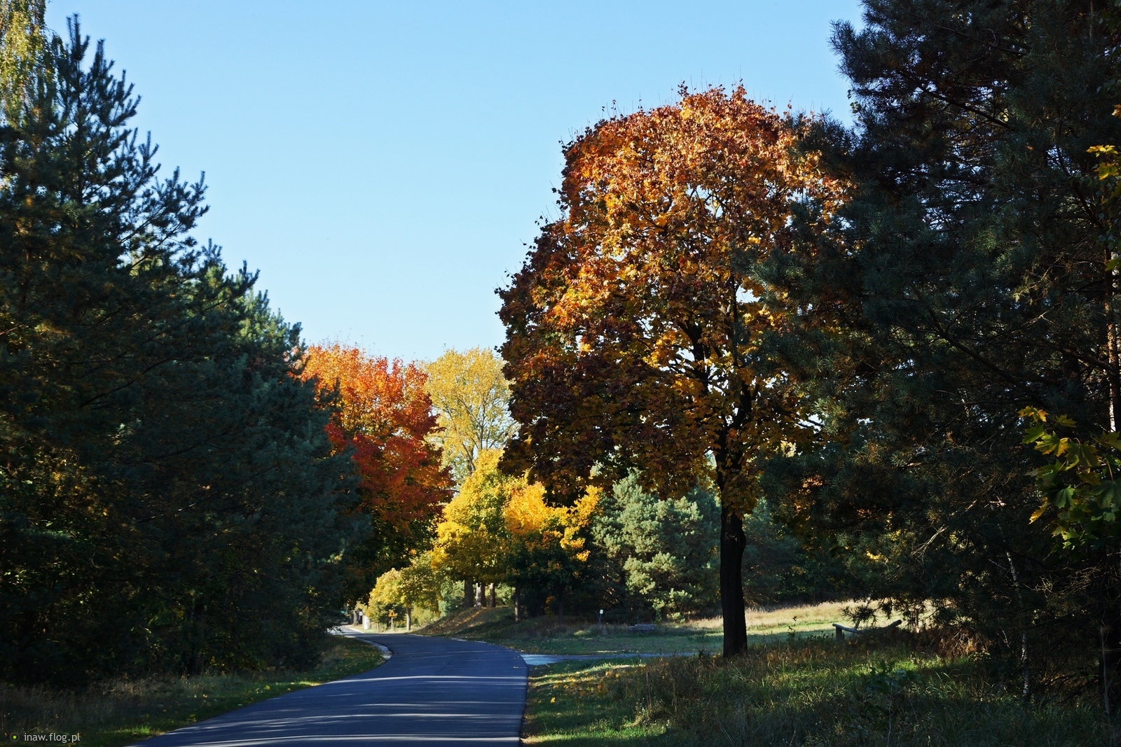 Jesiennie tak😉🍁