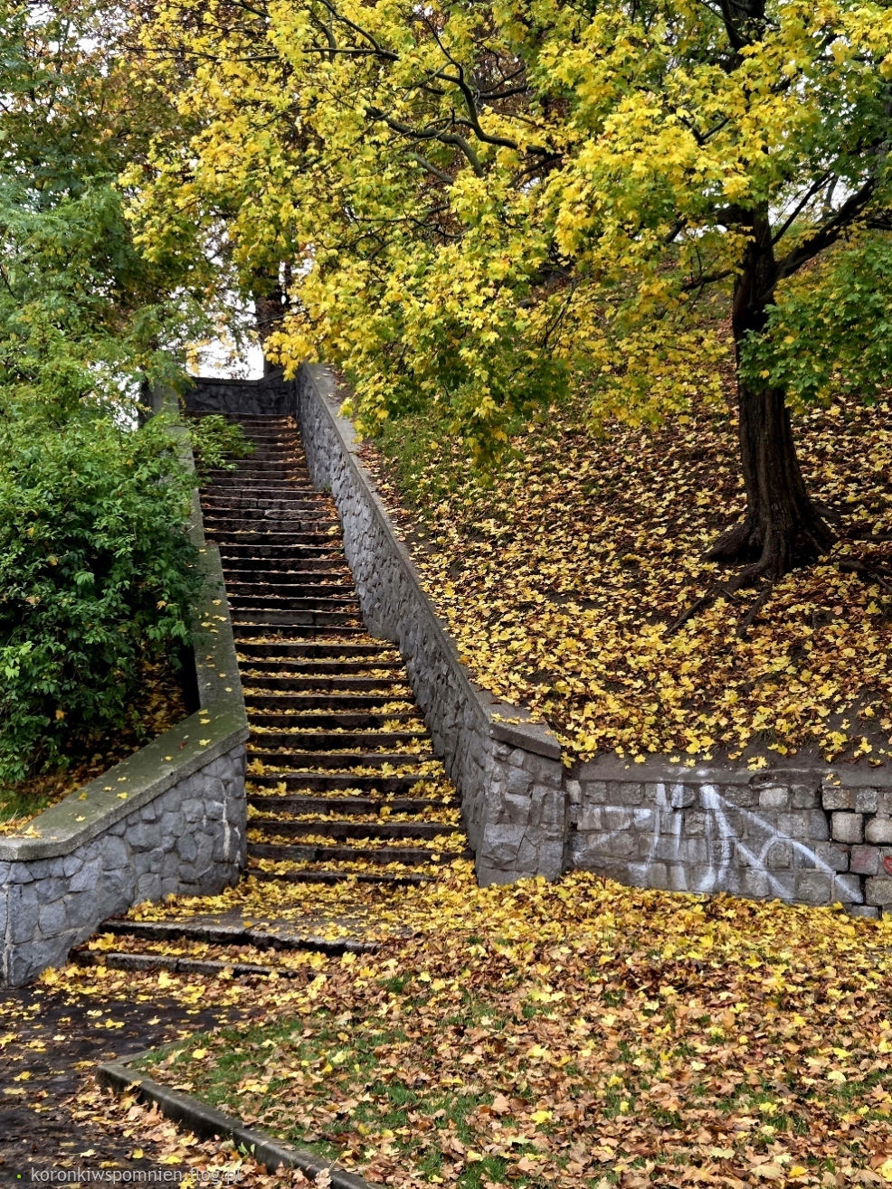 Jesienne schodki:) Miłej soboty:)