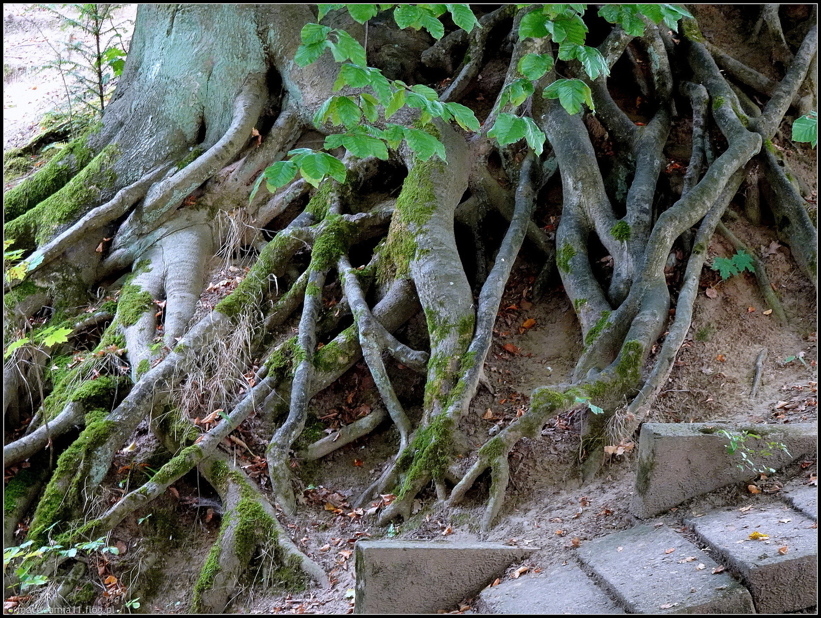 Trzeba się jakoś trzymać...