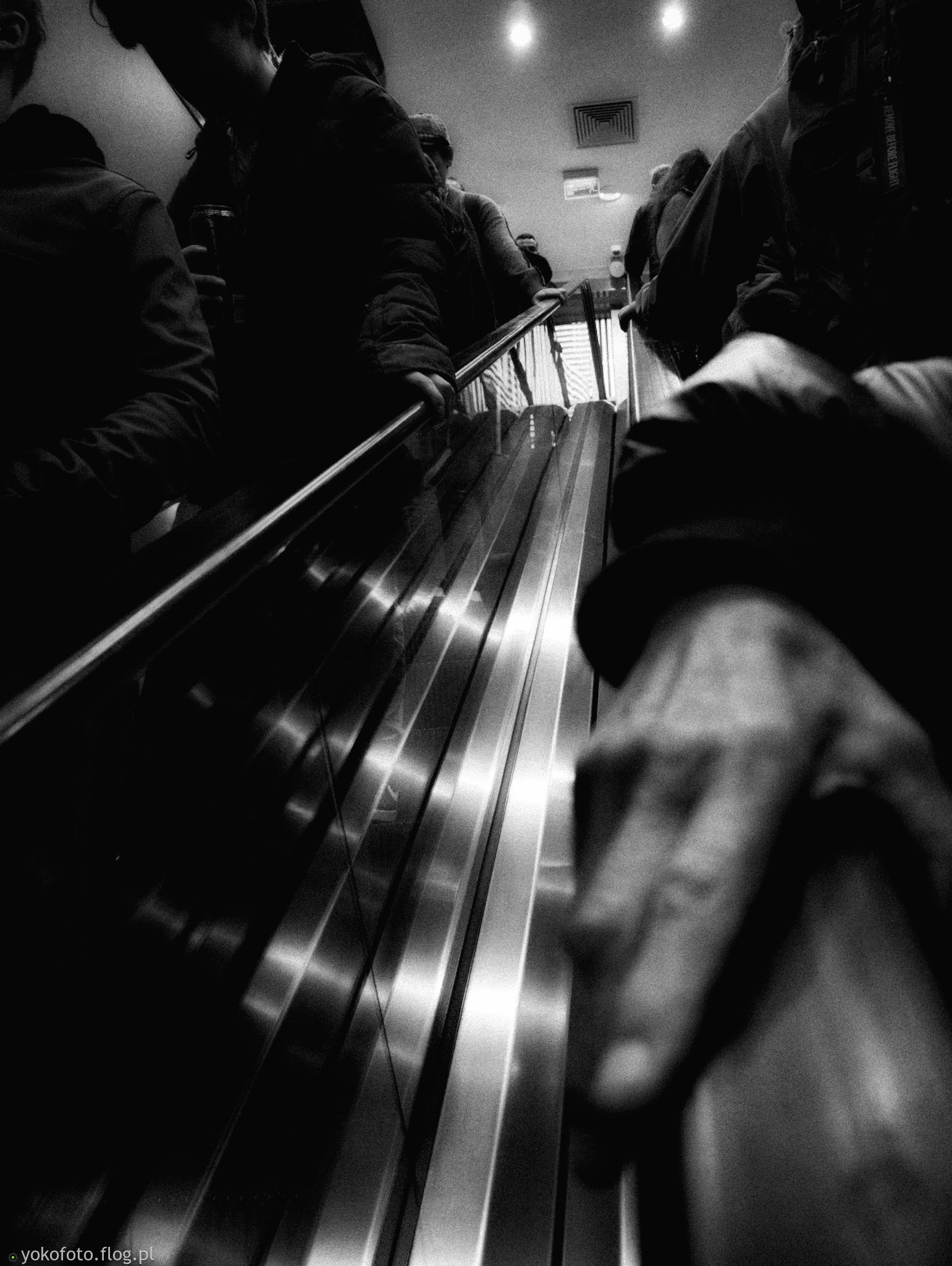 #PstrykCodzienny - 2025_10_25