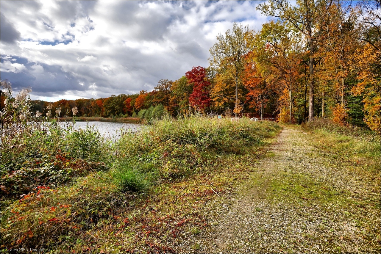 Wyprawa do Zdroju...