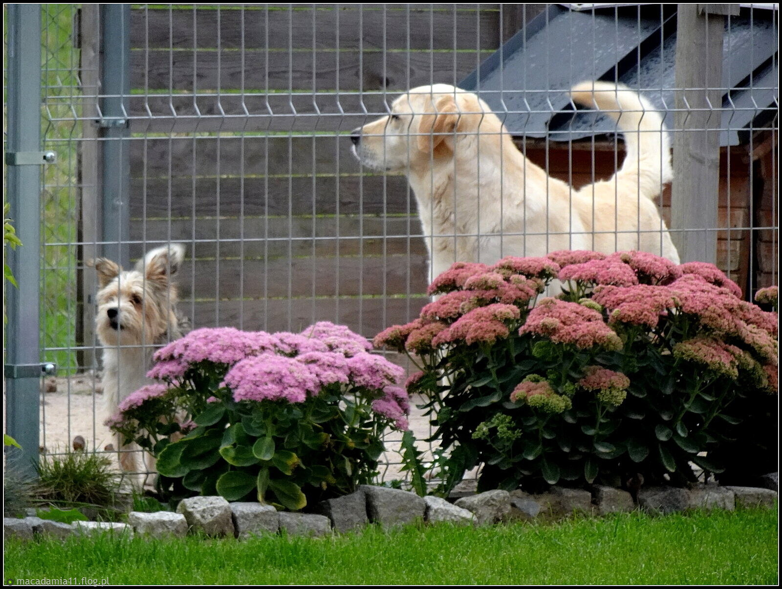 Ale mundurki mamy jednakowe!