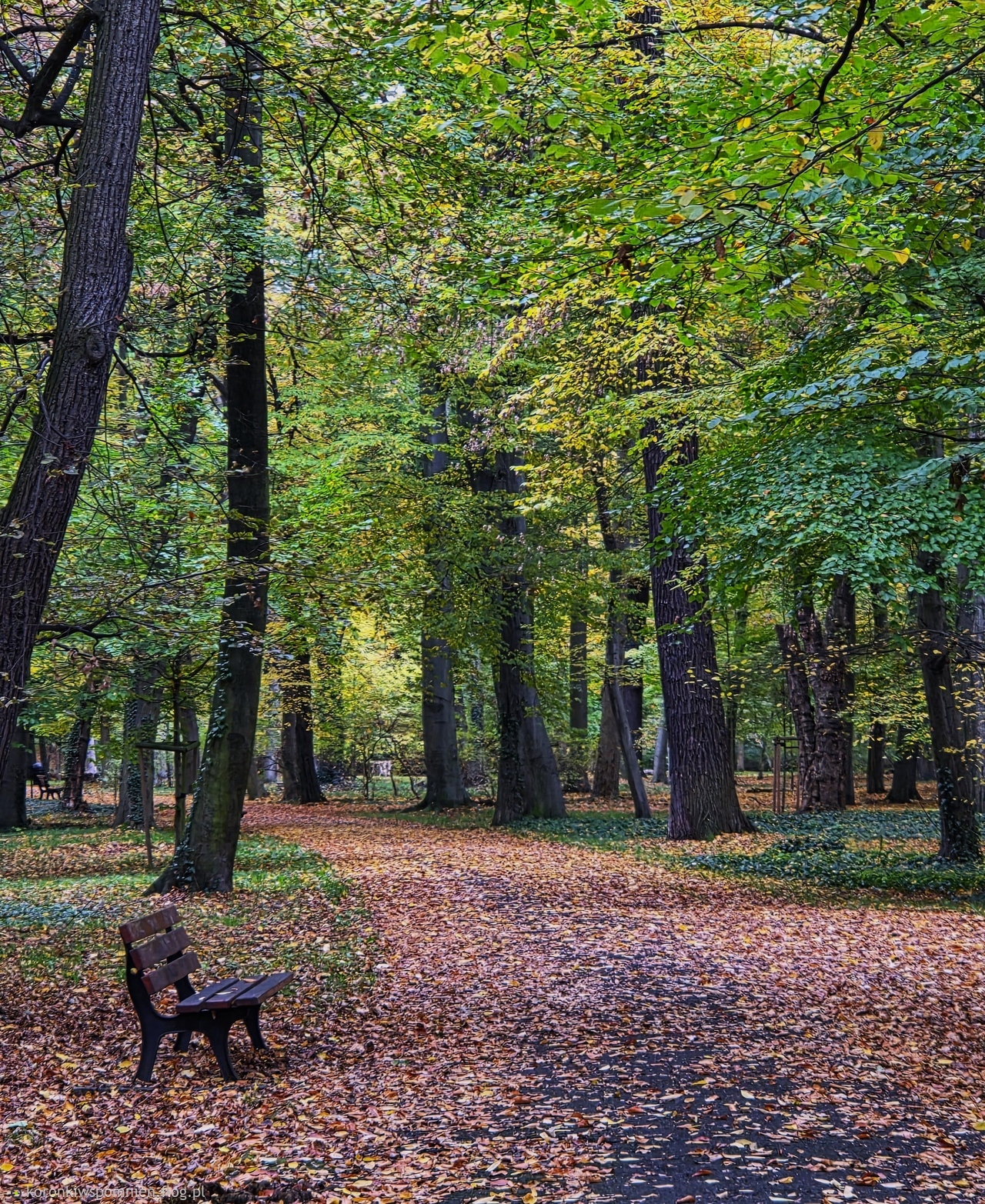 Jesienne chodzenie:)Spokojnej krótszej niedzieli:)