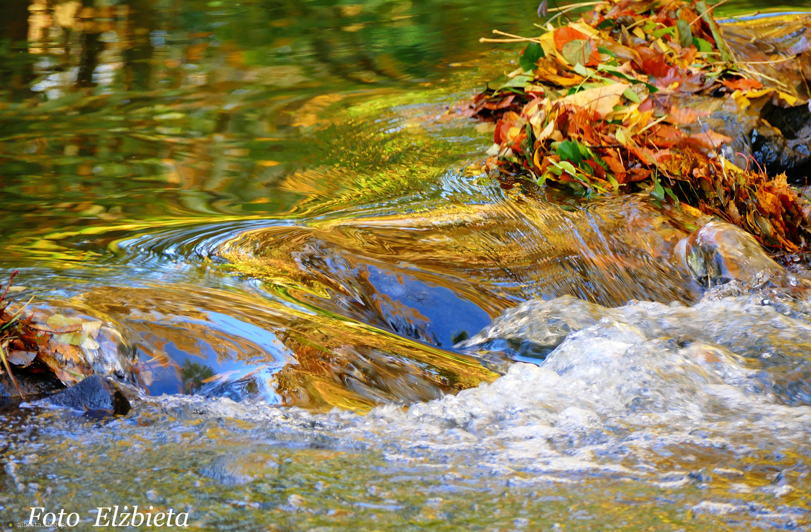 Fantazja jesienna w potoku Oliwskim! Dziękuję za odwiedziny i plusiki! Serdecznie pozdrawiam:))