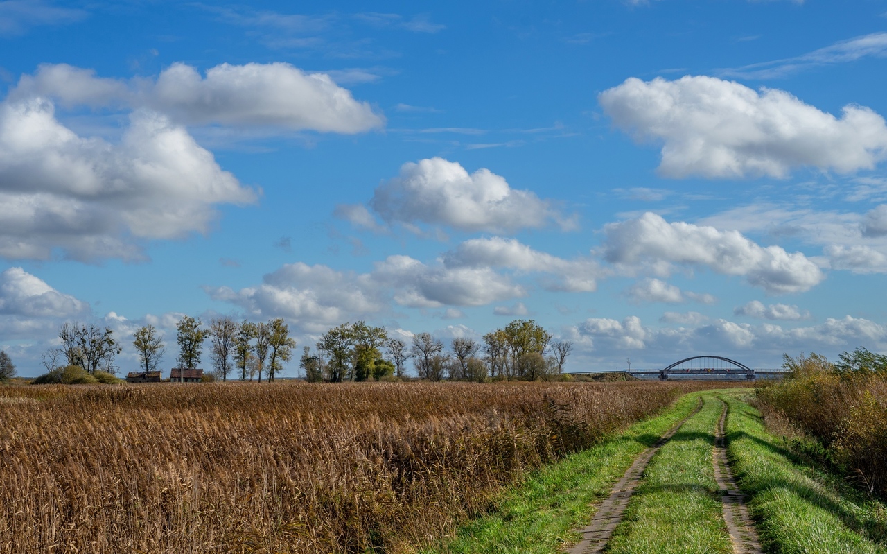 Taki widoczek z niedzielnego wypadu