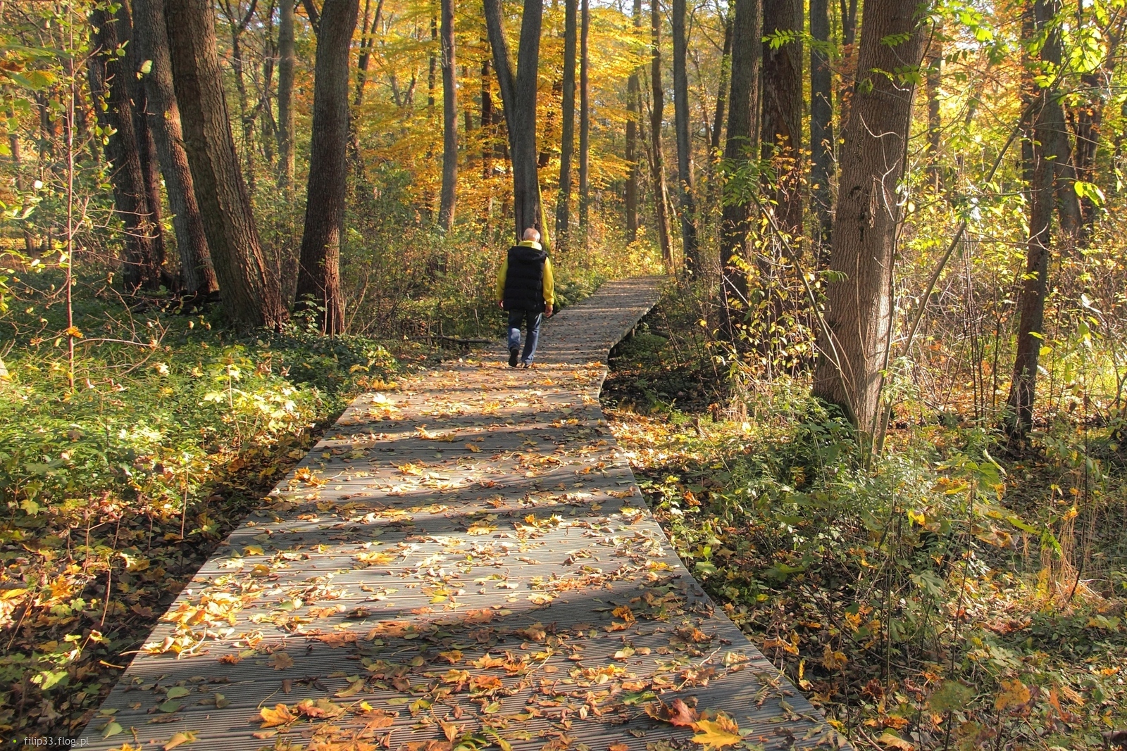 Jesień z czynnikiem ludzkim :)