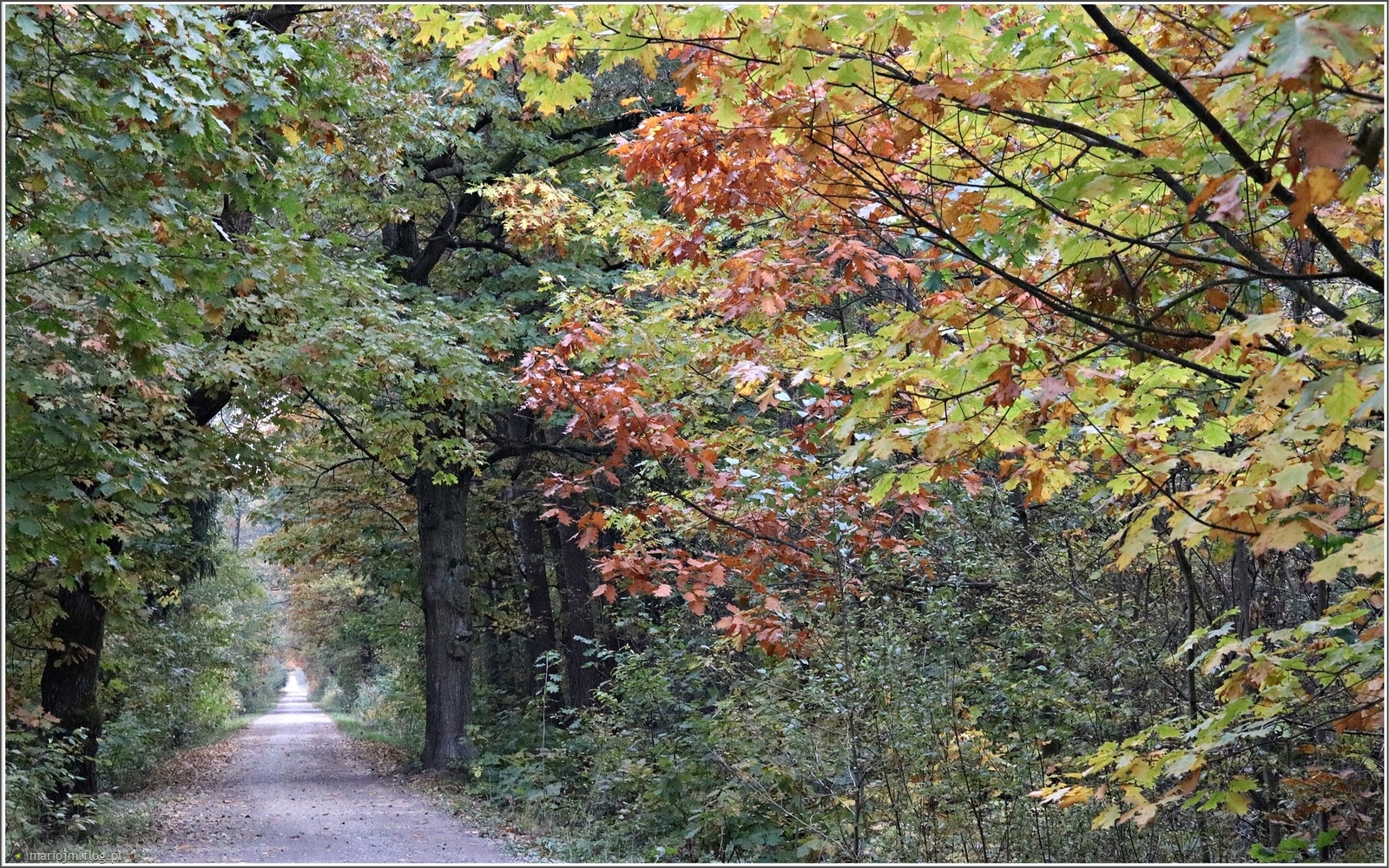 Jesienna przechadzka