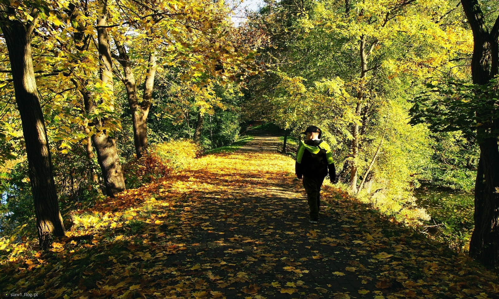 Jesienny kamuflaż ;))