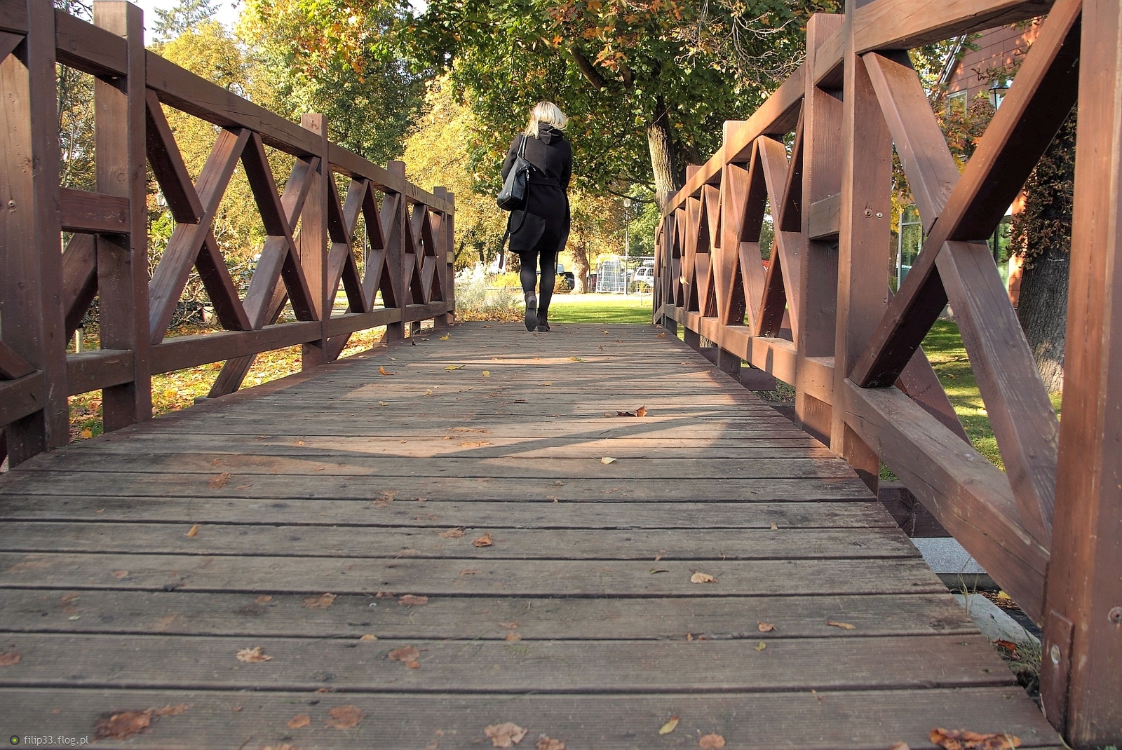 Z cyklu o czynnikach ludzkich w kadrze :)