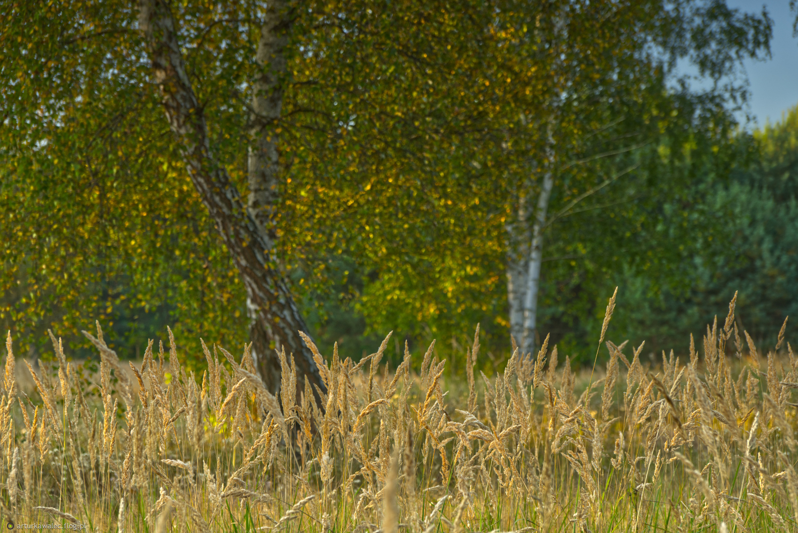 Między latem a jesienią